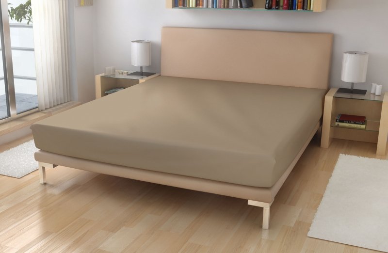 Polášek Holešov Prostěradlo MICRO č.10 béžová 100% polyester Béžová 90x200